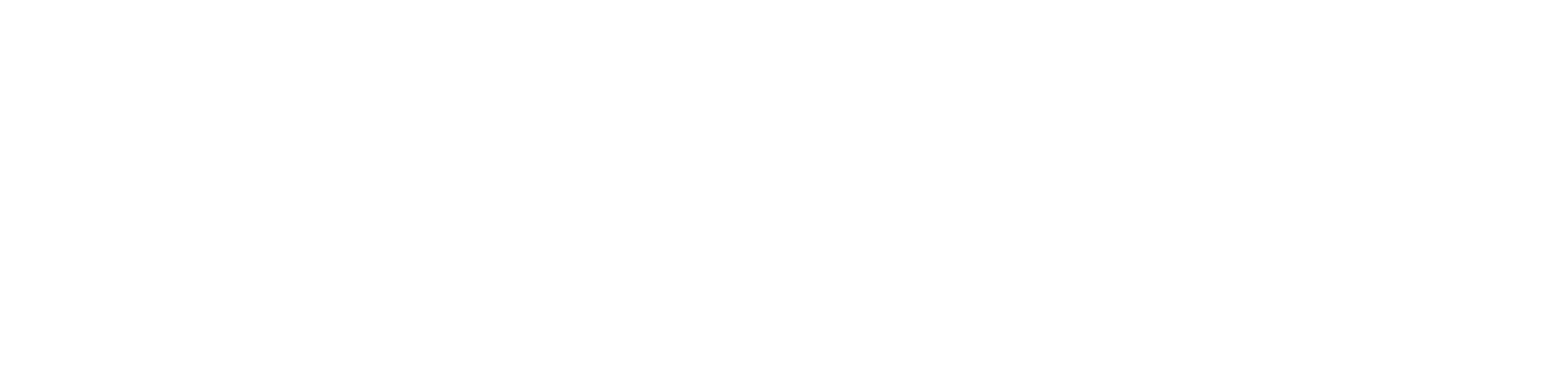Ortivity Logo weiß - OZMO